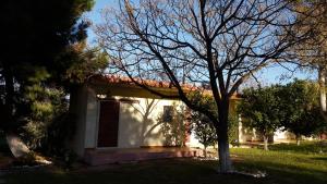 a house with a tree in front of it at Danaides Bungalows in Tolo