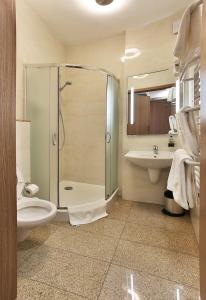 a bathroom with a shower and a toilet and a sink at Pod Lipą in Gorzów Śląski