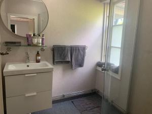uma casa de banho com um lavatório, um espelho e um chuveiro em Brunsbergs Herrgård appartement em Brunskog