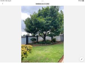 a tree in a yard next to a house at Rueby’s Apartment 101 in Dullstroom
