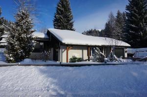 una casa cubierta de nieve con árboles delante en Haus Sonnenalm, en Bad Mitterndorf