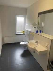 W łazience znajduje się umywalka, toaleta i lustro. w obiekcie Hotel Biedermeier w Dortmundzie
