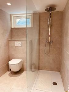 La salle de bains est pourvue de toilettes et d'une douche en verre. dans l'établissement Casa Monica, à Malmedy