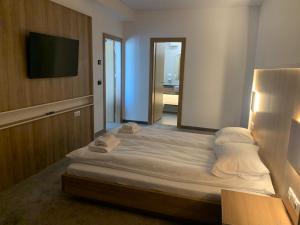 a bedroom with a bed with a tv and a mirror at Apartment OneClickRenrt Oasis in Chişinău