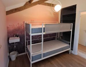 Natuurhuis Dichtby في Rucphen: سرير بطابقين في غرفة مع حوض
