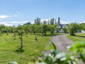 um campo de macieiras com uma casa ao fundo em Russets em North Weald