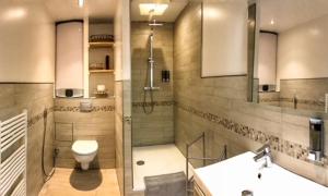 une salle de bains avec douche, toilettes et lavabo dans l'établissement Loft - L'esquisse - Centre, à Strasbourg