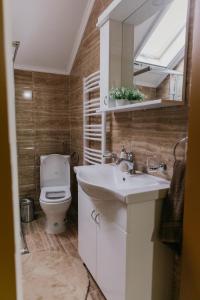 ein Bad mit einem Waschbecken und einem WC in der Unterkunft Sunrise Riverside House in Čelarevo