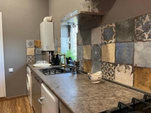 una cucina con lavandino e piano di lavoro di Lola Apartments a Tbilisi City