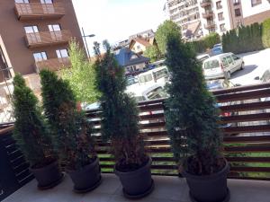 Giardino di Apartman Oaza Kalman SPA-GYM