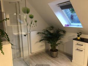 a bathroom with a shower and a potted plant at Ferienwohnung Sonnenhof 
