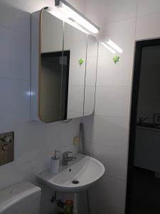 W łazience znajduje się umywalka, lustro i toaleta. w obiekcie B006 Schöne, helle Ferienwohnung w mieście Lahnstein