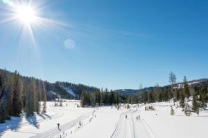 Larix Apartment during the winter