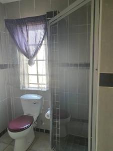 a bathroom with a toilet and a shower with a window at Funky Dot Sleeping Spot in Kempton Park