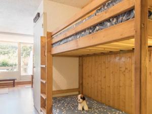 サン・シャフレにあるAppartement Saint-Chaffrey , 1 pièce, 4 personnes - FR-1-330E-53の二段ベッド付きの客室で、犬が敷物に座っています。