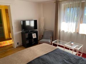 Apartment „AlpView“,Tirol mit Sauna und Pool في Vomp: غرفة نوم بسرير وتلفزيون وكرسي