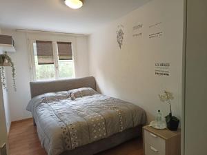 Schlafzimmer mit einem Bett und einem Fenster in der Unterkunft habitación en piso compartido in Yverdon-les-Bains