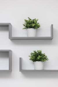 two plants on shelves on a white wall at Warsaw Wola Apartment near Nocny Market by Noclegi Renters in Warsaw