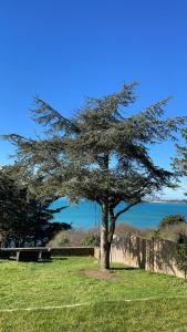 un arbre au milieu d'une prairie dans l'établissement Maison vue exeptionnelle sur la mer, à Lancieux