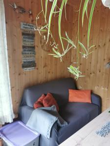 a couch in a room with a plant on the wall at Troadkasten Hollnhof in Donnersbach
