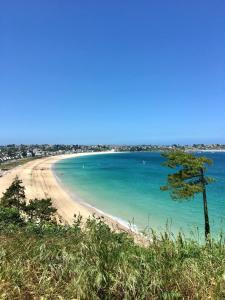 una playa con un árbol en la cima de una colina en Le Jardin des Dunes, en Saint-Cast-le-Guildo