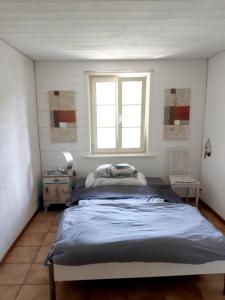 1 dormitorio con 2 camas y ventana en Aareggli en Berna