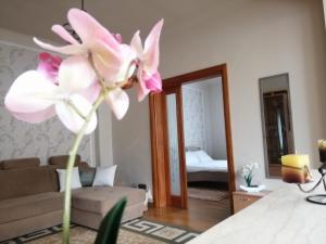 uma flor rosa num quarto com uma sala de estar em Pandora Guest House em Cluj-Napoca