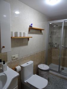 a bathroom with a shower and a toilet and a sink at Pis Acollidor amb LLar de Foc, al Centre Camprodon in Camprodon +14 photos