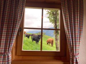 Altri animali domestici presso la casa vacanze o nei dintorni