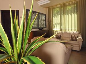 a living room with a couch and a plant at Euro Hotel in Pieve Santo Stefano