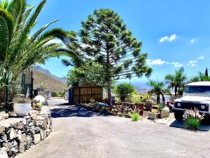 a truck parked in a driveway with a palm tree at Finca Chimaca in Arona