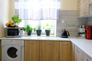 Kuchyňa alebo kuchynka v ubytovaní Apartament Parkowa
