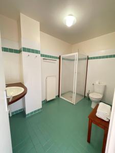ein Bad mit einer Dusche, einem WC und einem Waschbecken in der Unterkunft Les chambres de Testory in Montesquieu-Volvestre