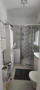 a bathroom with a shower and a toilet and a sink at Apartament w samym centrum in Warsaw
