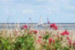 Naturlandskabet i nærheden af lejligheden