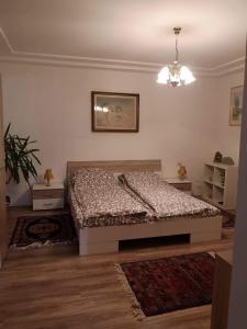 - une chambre avec un lit dans l'établissement Apartman CUNI, à Subotica
