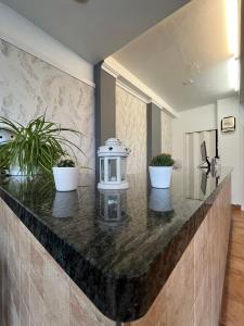 a counter top with two potted plants on it at Montero Sestao Bilbao in Trapagaran