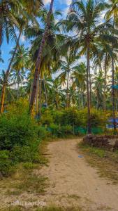 a dirt road with palm trees on a beach at Orange Sky Inn in Canacona