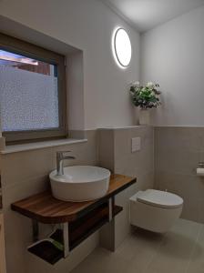 a bathroom with a sink and a toilet at Ferienhaus am Himberg in Straden