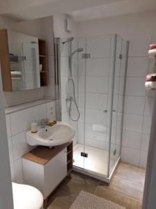 uma casa de banho com um lavatório e um chuveiro em Dahls Ferienwohnung em Sankt Andreasberg