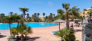 basen w ośrodku z palmami w obiekcie Corralejo Happy Place, precioso apartamento con piscina w Corralejo