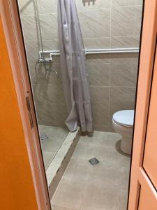Koupelna v ubytování Guest House Econom