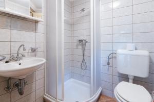 ein Bad mit einer Dusche, einem WC und einem Waschbecken in der Unterkunft Nature escape woodhouse in Žirovnica