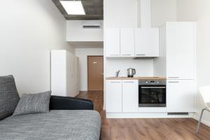 Kuchyň nebo kuchyňský kout v ubytování LKS Apartment 4