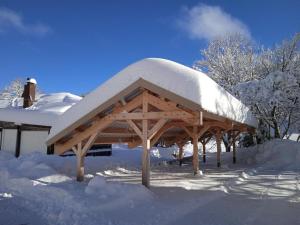 Babaute 7, studio typique au pied des pistes v zime