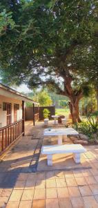 eine Reihe weißer Bänke unter einem Baum in der Unterkunft Cheese Farm & Lodge in Mtubatuba