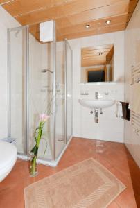W łazience znajduje się prysznic, umywalka i toaleta. w obiekcie Fernblick Frühstückspension w mieście Schoppernau