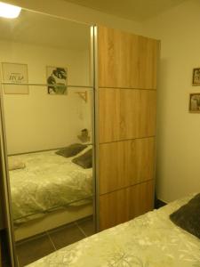 1 dormitorio con armario con espejo y cama en Appart paisible, propre et accueillant, en Pers-Jussy