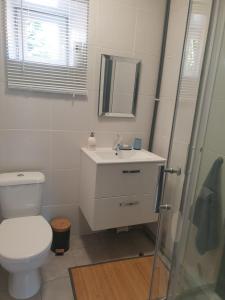 ein Badezimmer mit einem WC, einem Waschbecken und einem Spiegel in der Unterkunft Wildberry cottage in Orgères-la-Roche