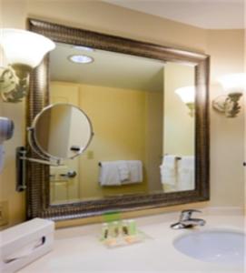 a bathroom with a large mirror and a sink at Holiday Inn Chantilly-Dulles Expo Airport, an IHG Hotel in Chantilly